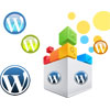Hire WordPress Developer