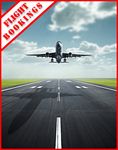 travelportal4.jpg